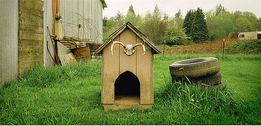 《沙石镇时光》Steam玩家数超过前作《波西亚时光》